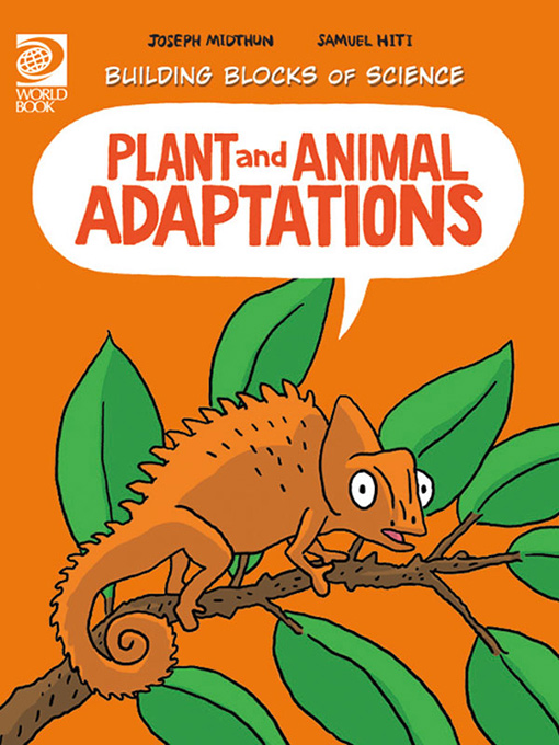 What Are Some Examples Of Plant And Animal Adaptations