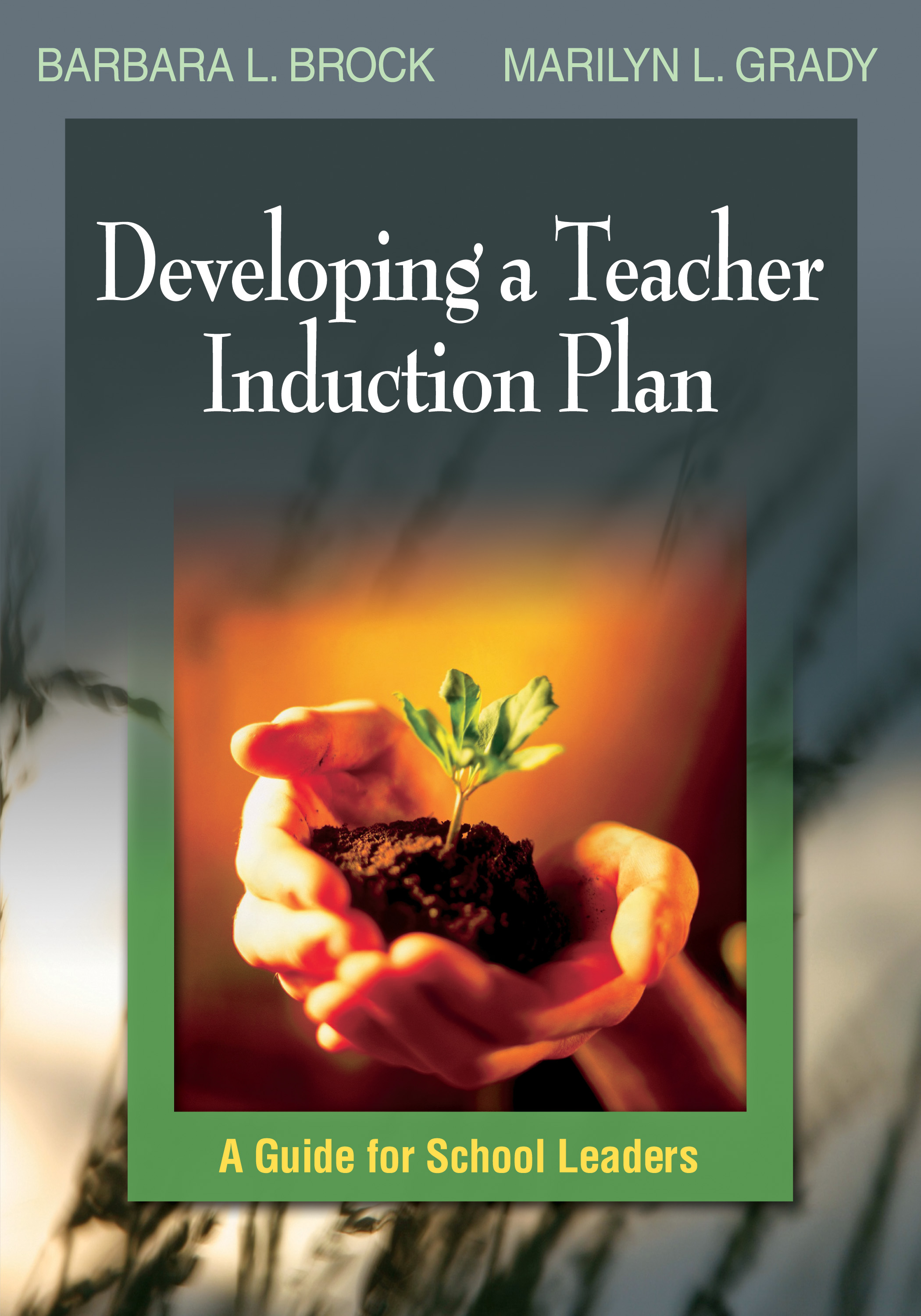 Developing A Teacher Induction Plan