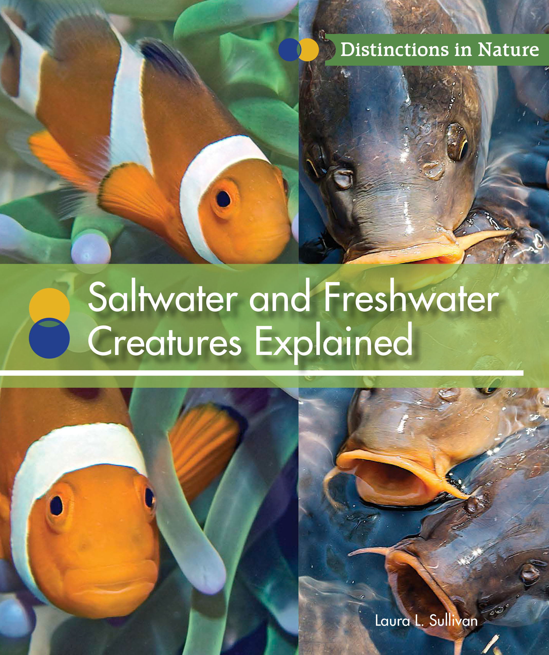 saltwater-and-freshwater-creatures-explained