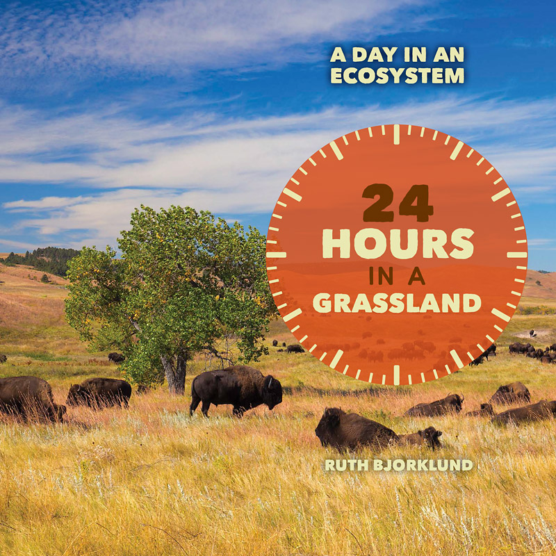 24 Hours in a Grassland