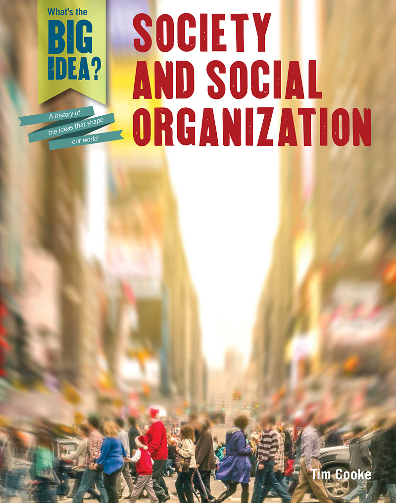 essay about social organization