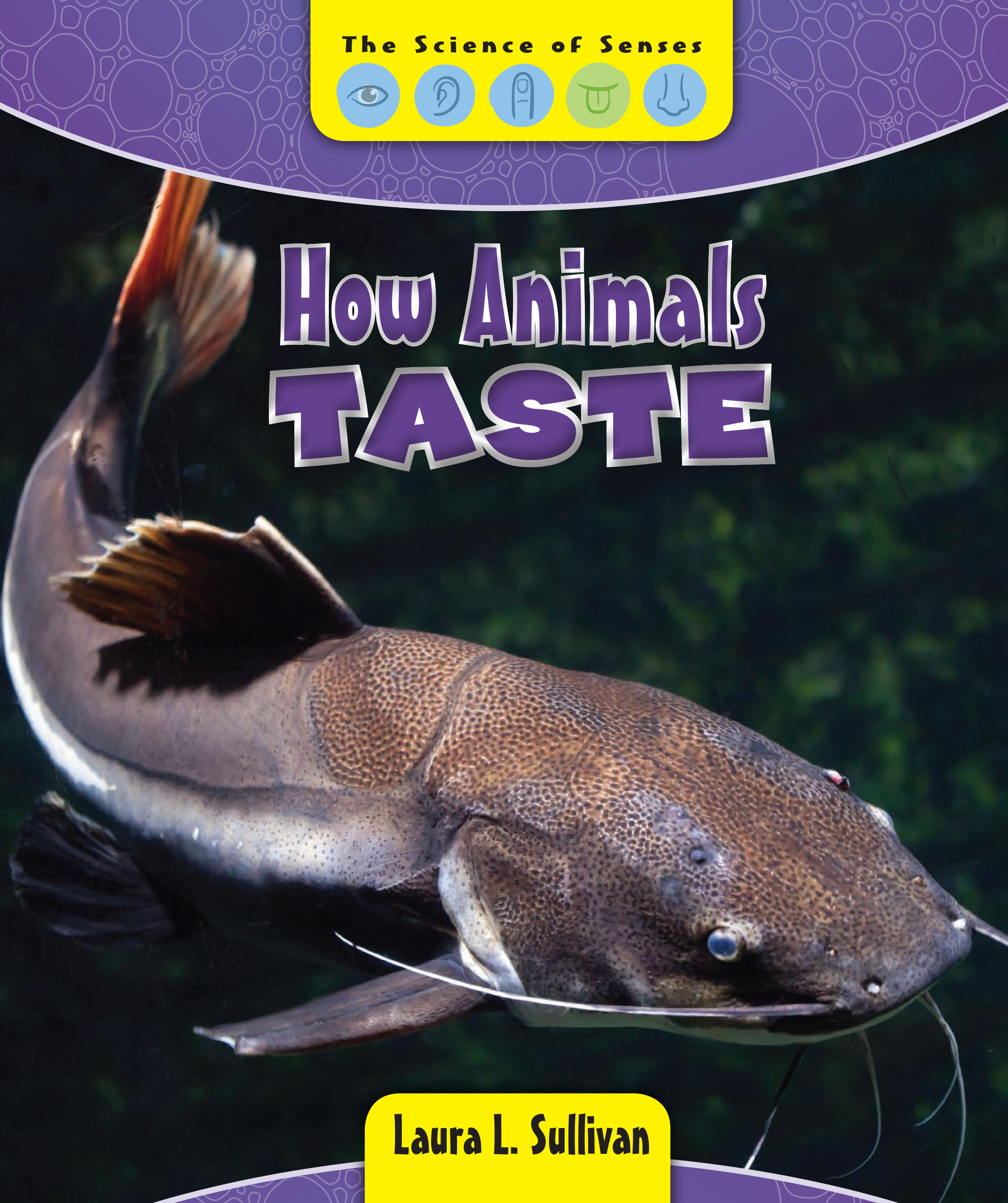 How Animals Taste