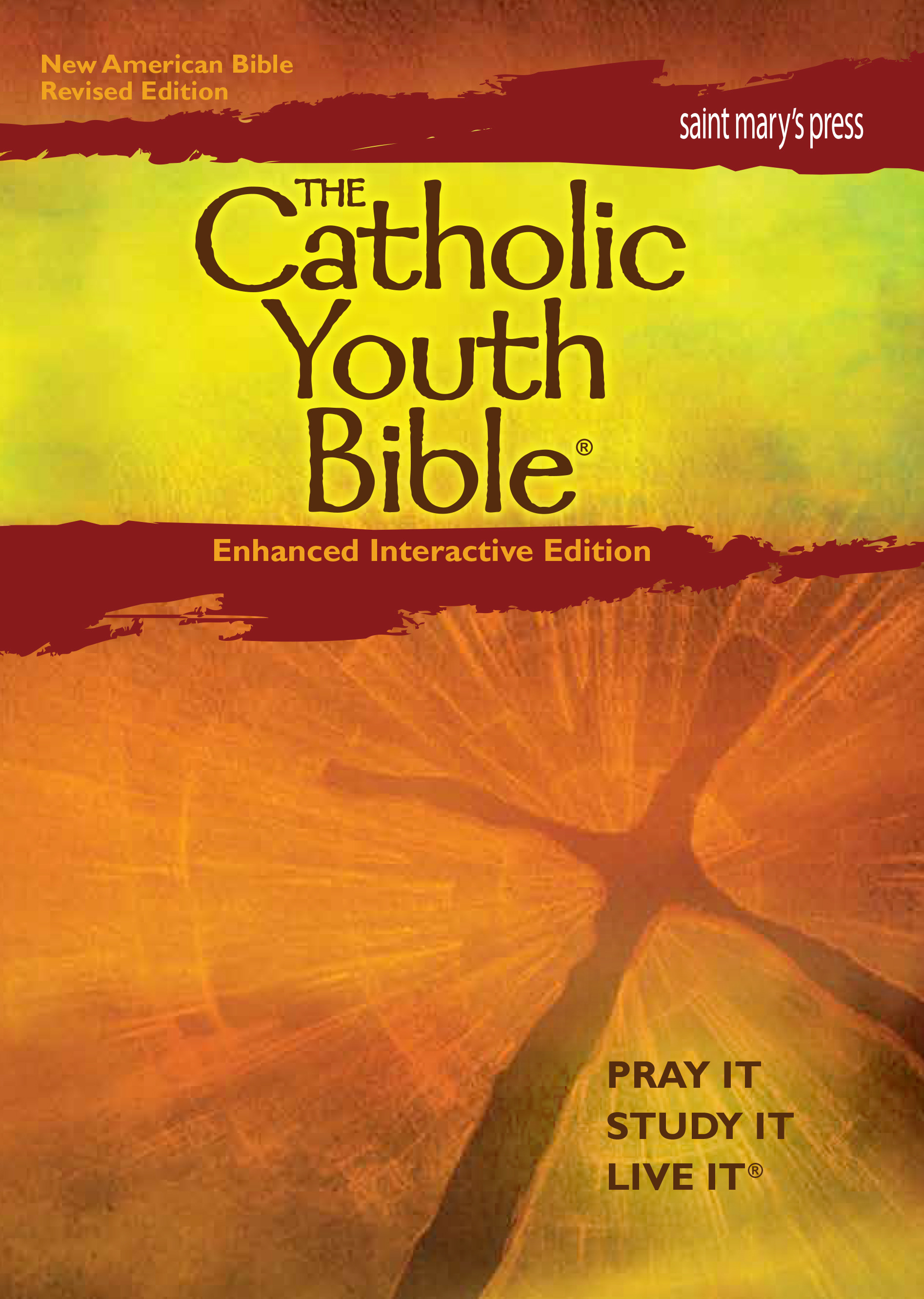 The Catholic Youth Bible®, Enhanced Interactive Edition (NABRE) Ebook ...