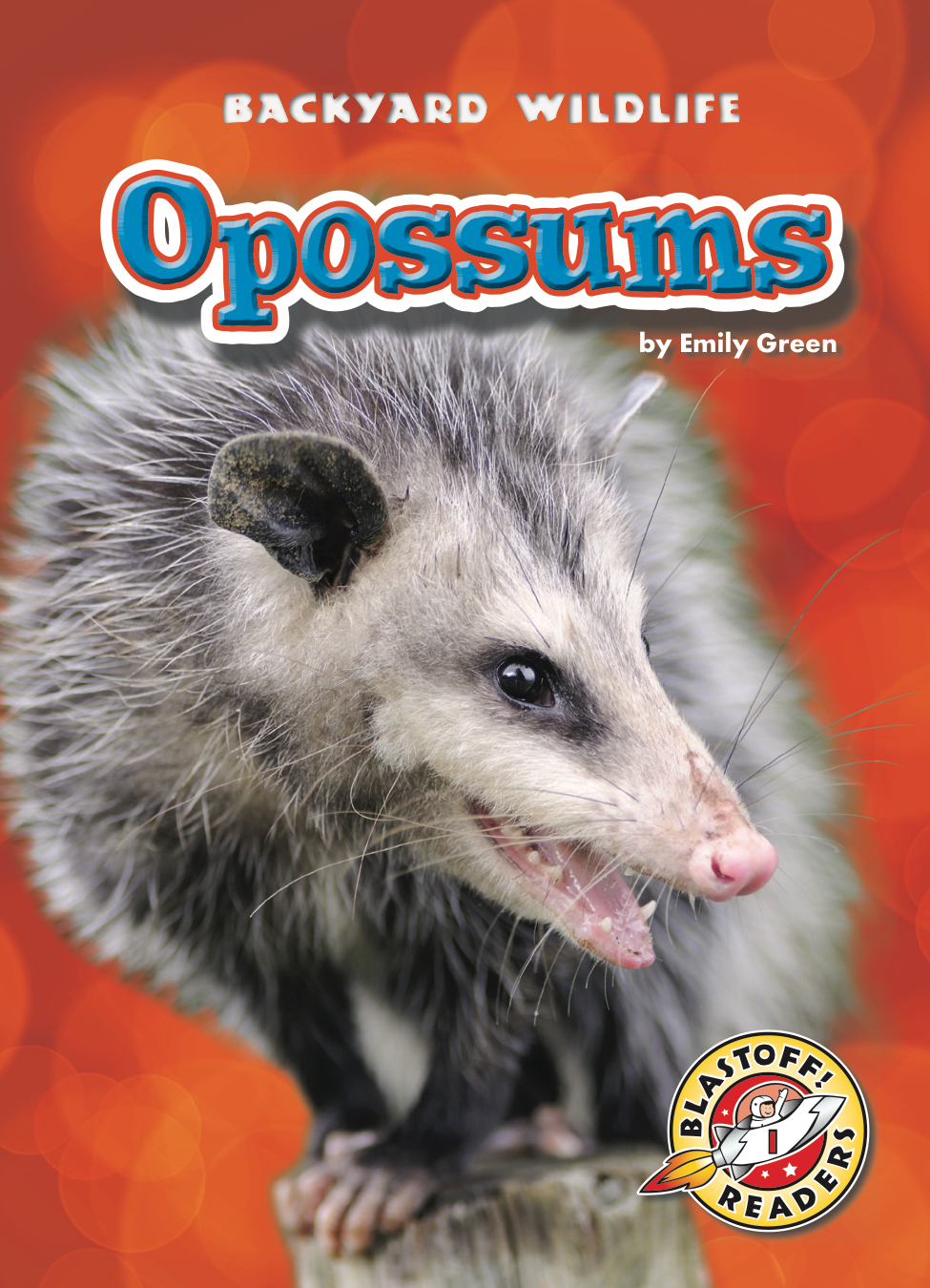 Opossums