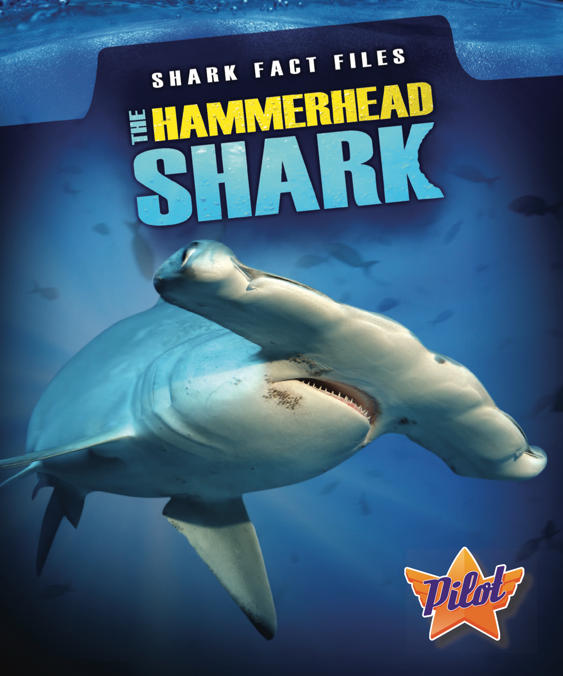 The Hammerhead Shark