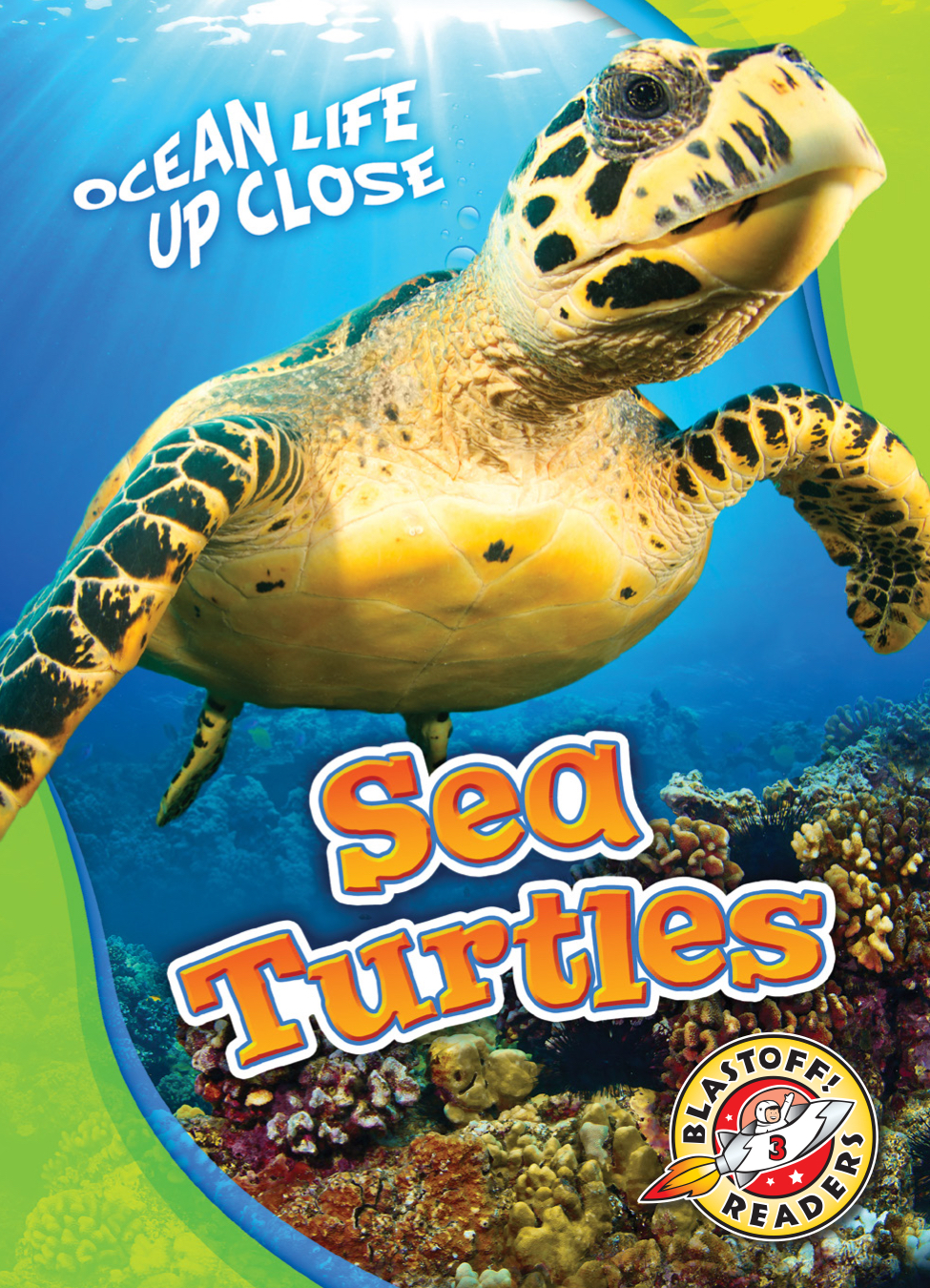 Sea Turtles