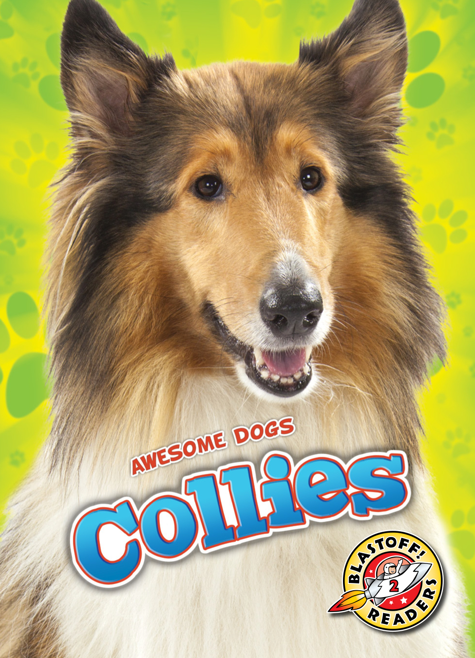 Collie Show Biz Shelties Collies