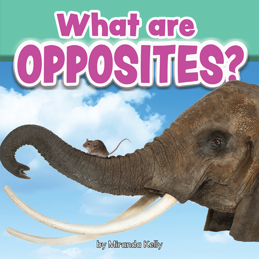 What Are Opposites Examples
