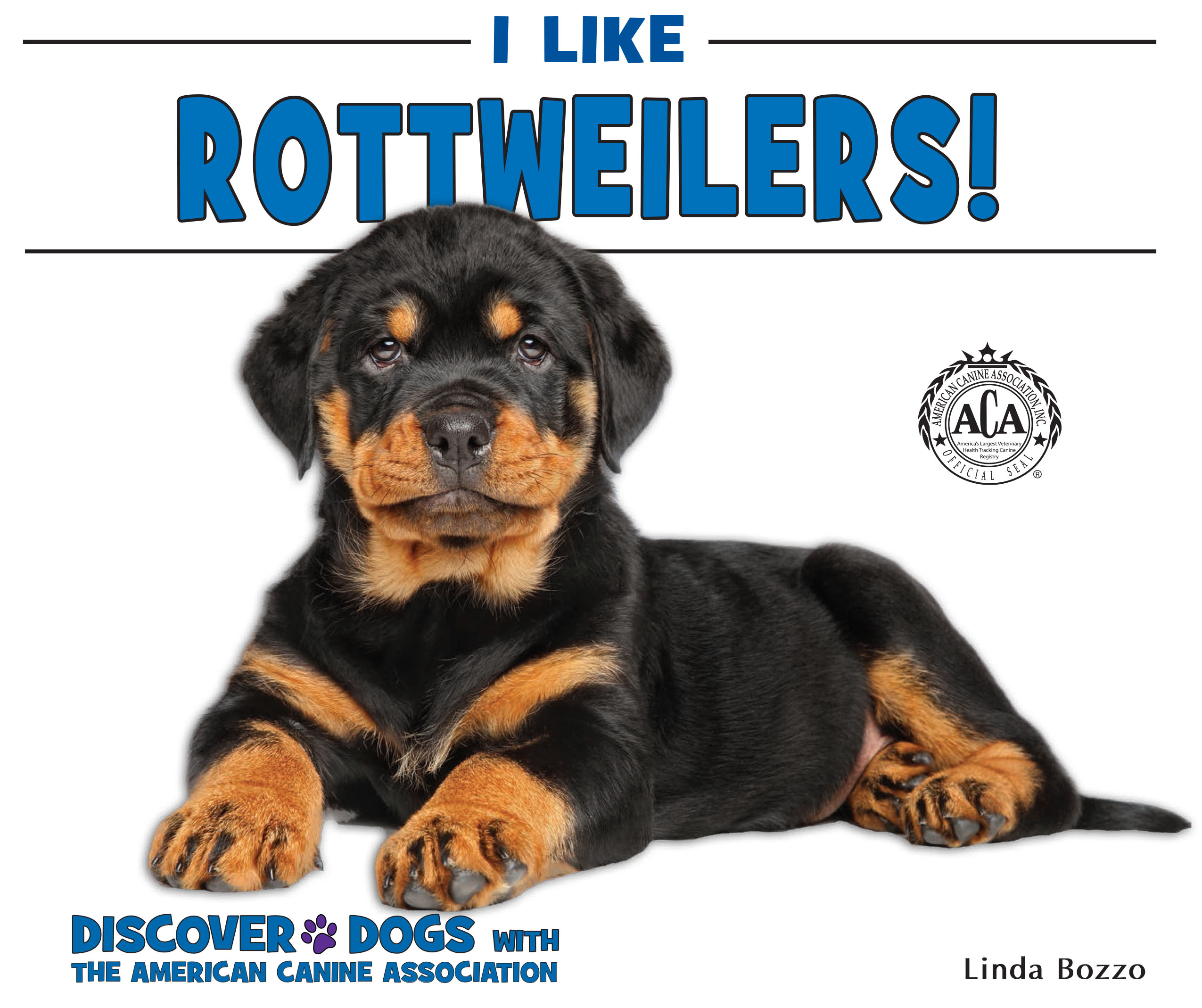 Rottweiler cattle dog fashion